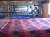 Picture_58.jpg